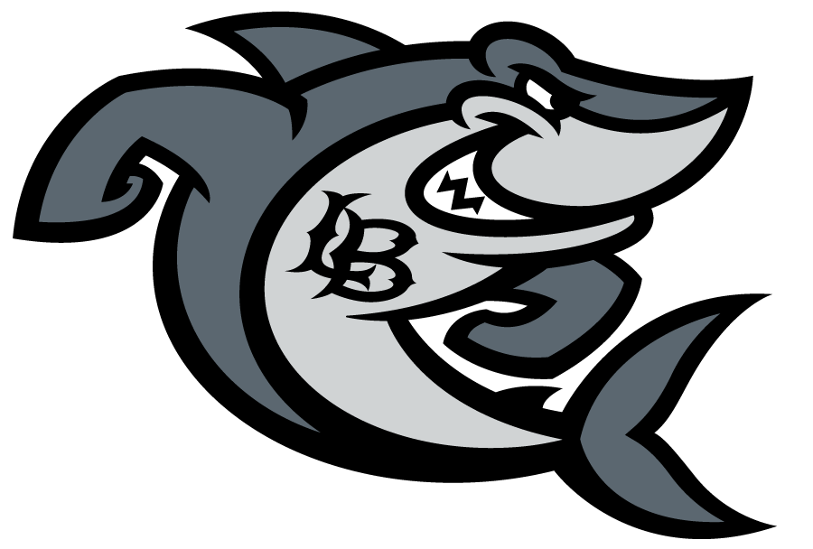 Long Beach State 49ers 2020-Pres Mascot Logo v6 diy iron on heat transfer Long Beach State 49ers 2020-Pres Mascot Logo v6 diy iron on heat transfer